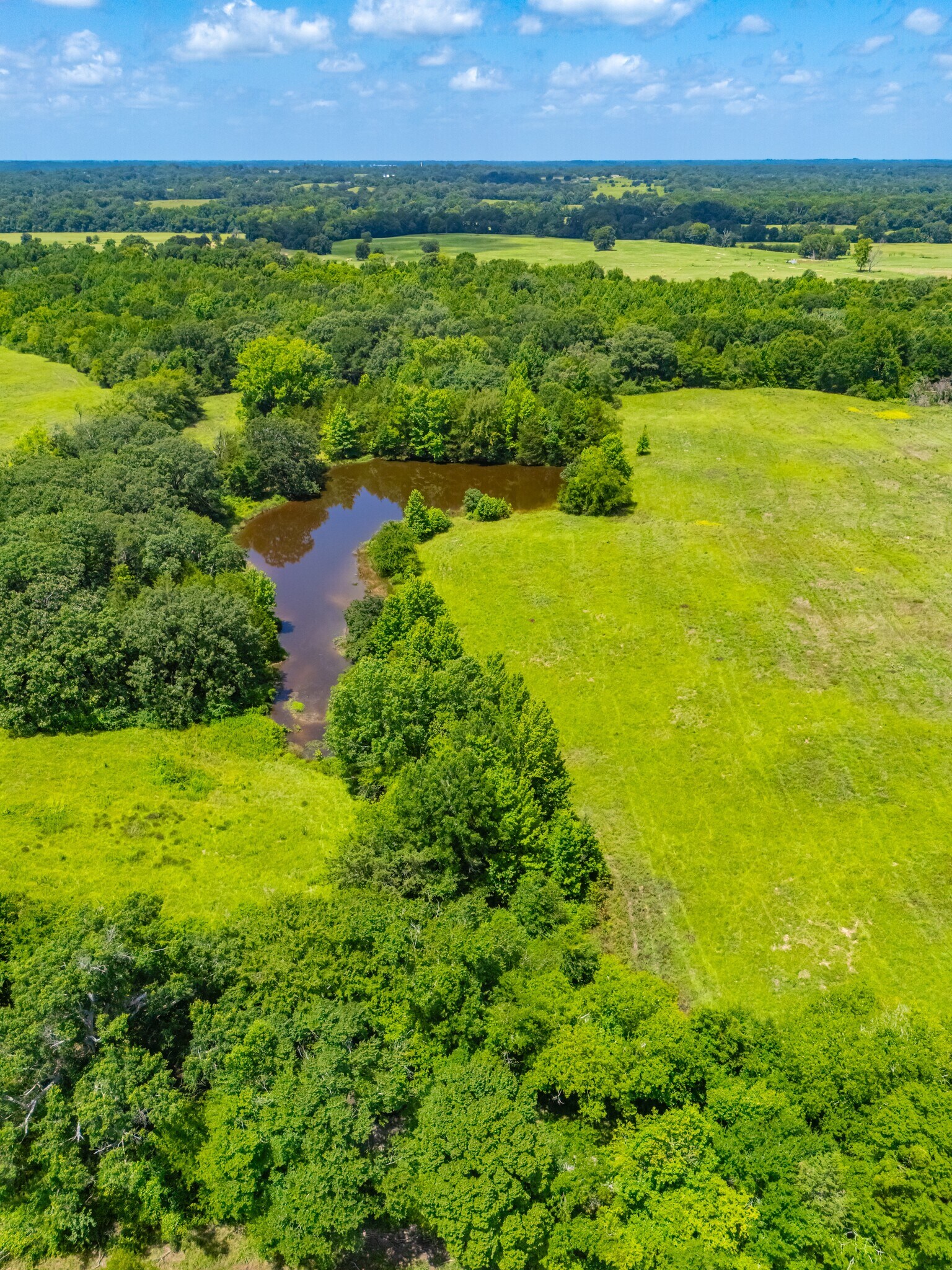 County Road 3311, Omaha, TX à vendre Photo principale– Image 1 sur 25