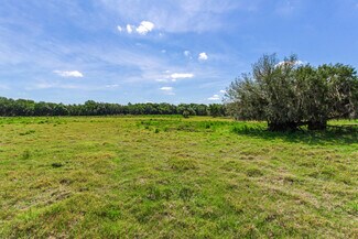 Plus de détails pour 419 Jameson Rd, Lithia, FL - Terrain à vendre