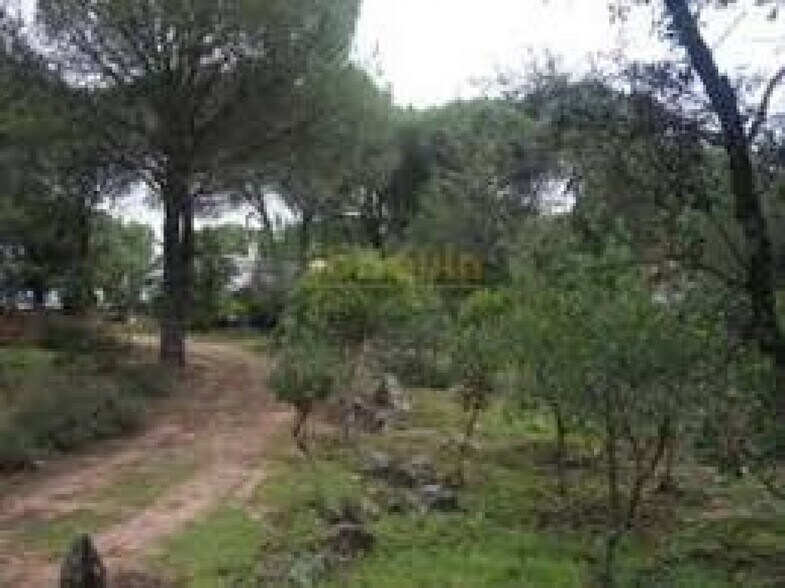 Terrain dans Córdoba, Córdoba à vendre - Aérien – Image 3 sur 3