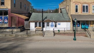 Plus de détails pour 115 E State St, Fife Lake, MI - Local commercial à vendre