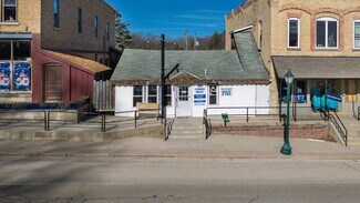 Plus de détails pour 115 E State St, Fife Lake, MI - Local commercial à vendre