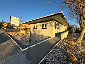 Plus de détails pour 105 Mount Rose St, Reno, NV - Local commercial à vendre