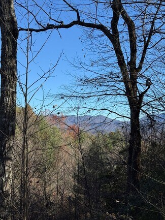 Plus de détails pour 00 Airport Rd, Andrews, NC - Terrain à vendre