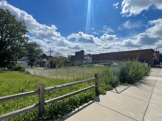 Plus de détails pour 11241 S Michigan Ave, Chicago, IL - Terrain à vendre