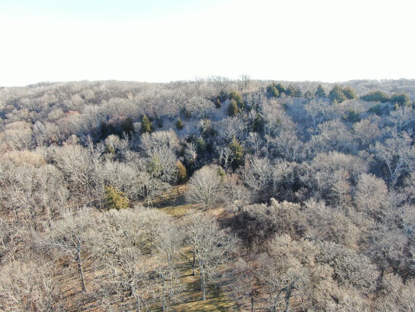 View Photo