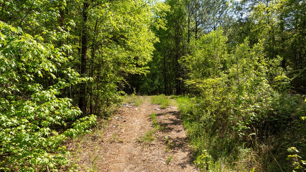 Lexington/Baldwin Park, Lagrange, GA à vendre - Aérien – Image 3 sur 21