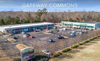 Plus de détails pour 3000 Pepperell Pky, Opelika, AL - Local commercial à louer
