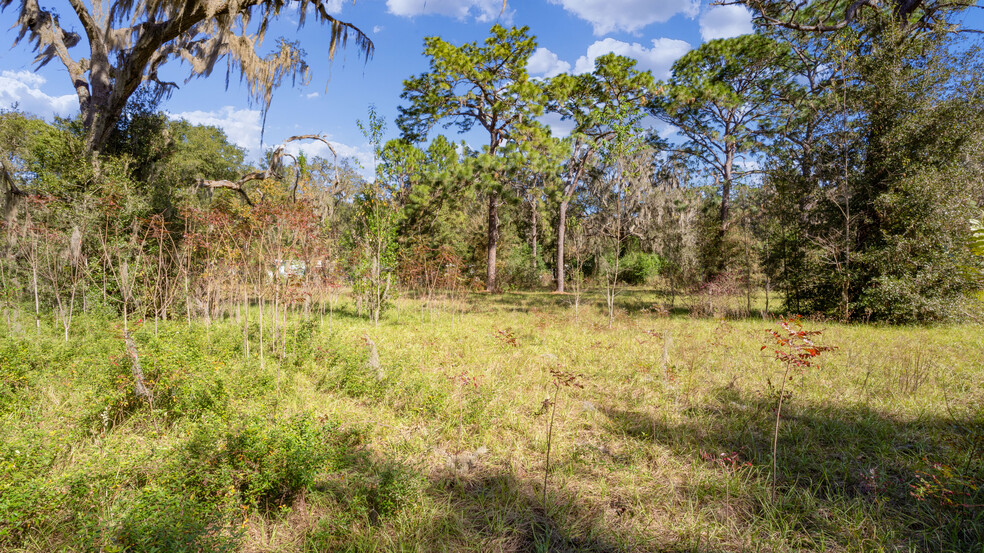 11987 US Highway 301, Belleview, FL à vendre - Photo de l’immeuble – Image 3 sur 43