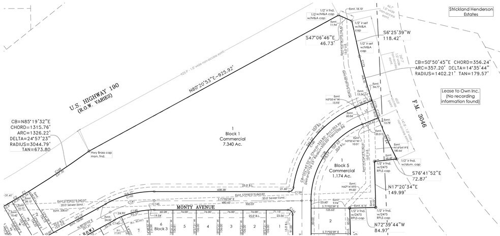 Farm to Market Road 3046, Copperas Cove, TX à vendre - Plan cadastral – Image 2 sur 2