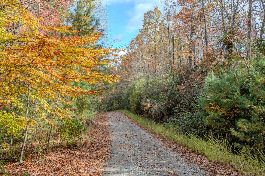 195 Still Waters Ln, Brevard, NC à vendre - Photo de l’immeuble – Image 2 sur 59