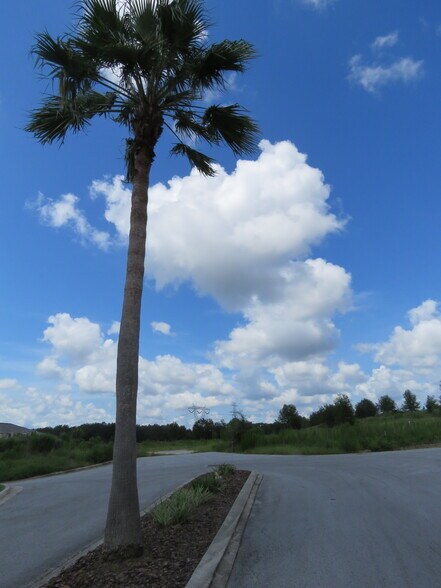 W Norvell Bryant hwy, Crystal River, FL à vendre - Photo de l’immeuble – Image 2 sur 12