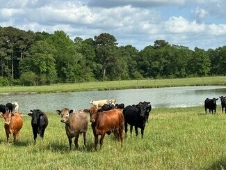Plus de détails pour Millside Road, Laurel Hill, FL - Terrain à vendre