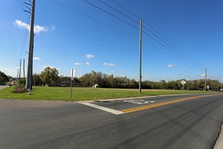 Plus de détails pour Daughtery Rd, Zephyrhills, FL - Terrain à vendre