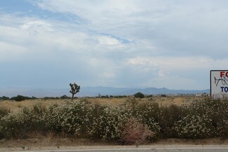 Plus de détails pour 46.72-Acres Mariposa Rd, Hesperia, CA - Terrain à vendre