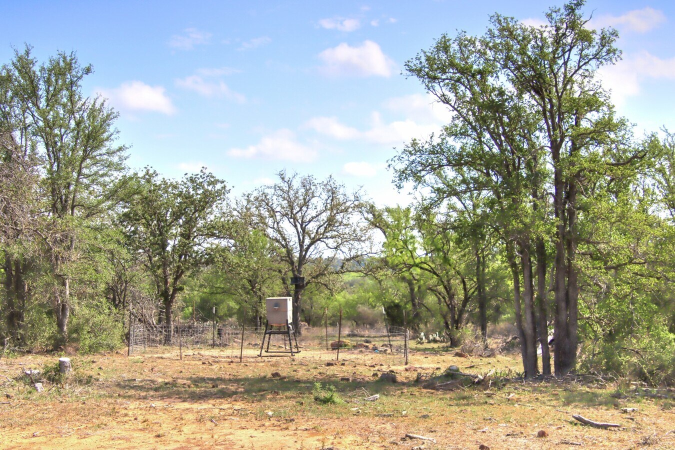 View Photo