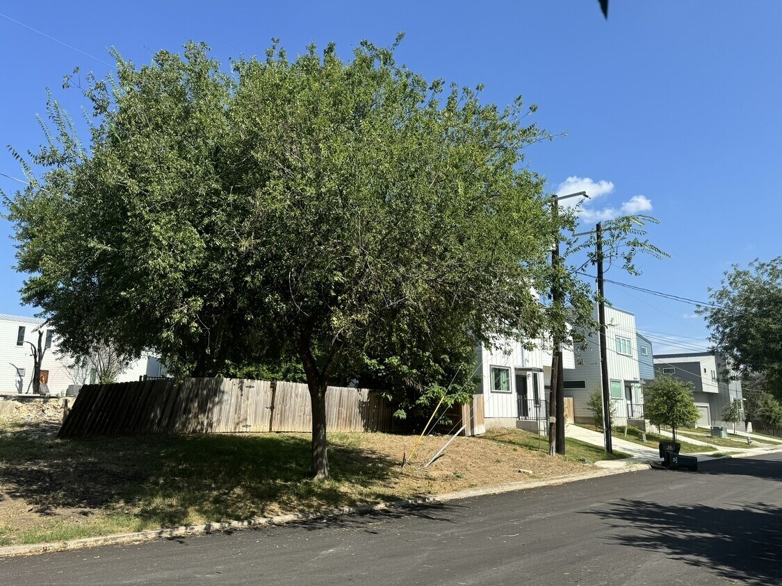 View Photo
