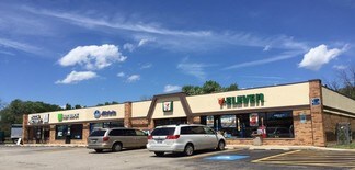 Plus de détails pour 1110-1150 Rand Rd, Lake Zurich, IL - Local commercial à louer