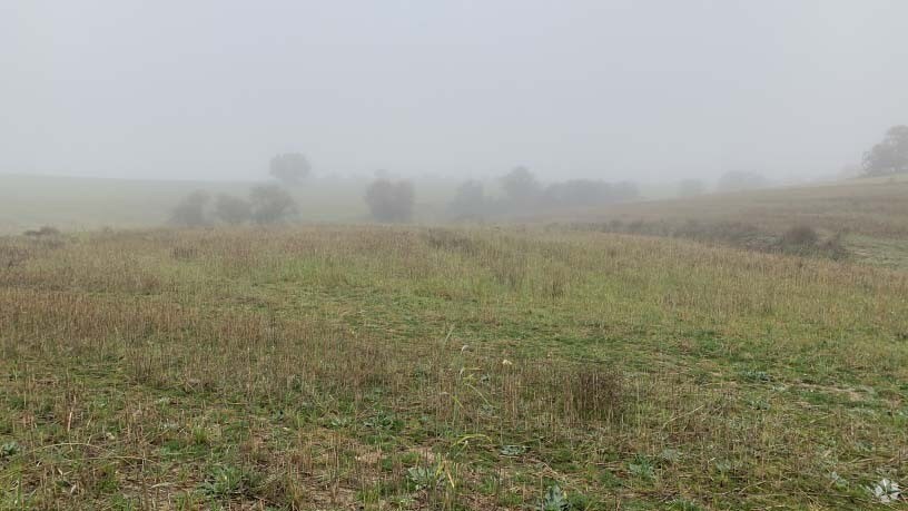 Polígono 12, Villaviciosa de Odón, Madrid à vendre - Photo de l’immeuble – Image 2 sur 14