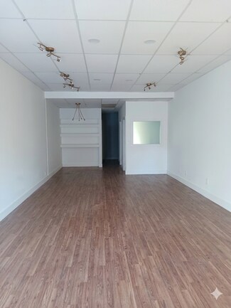 Plus de détails pour 2087-2095 Wantagh Ave, Wantagh, NY - Bureau/Local commercial à louer
