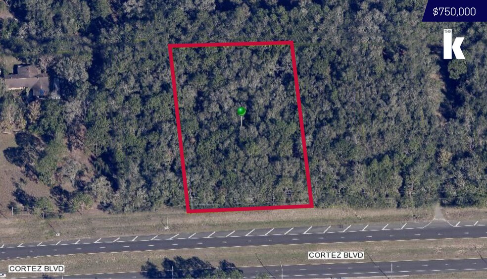 29301 Cortez Blvd, Brooksville, FL à vendre - Photo principale – Image 1 sur 1