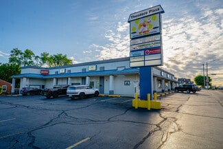 Plus de détails pour 800 Theodore, Crest Hill, IL - Local commercial à vendre