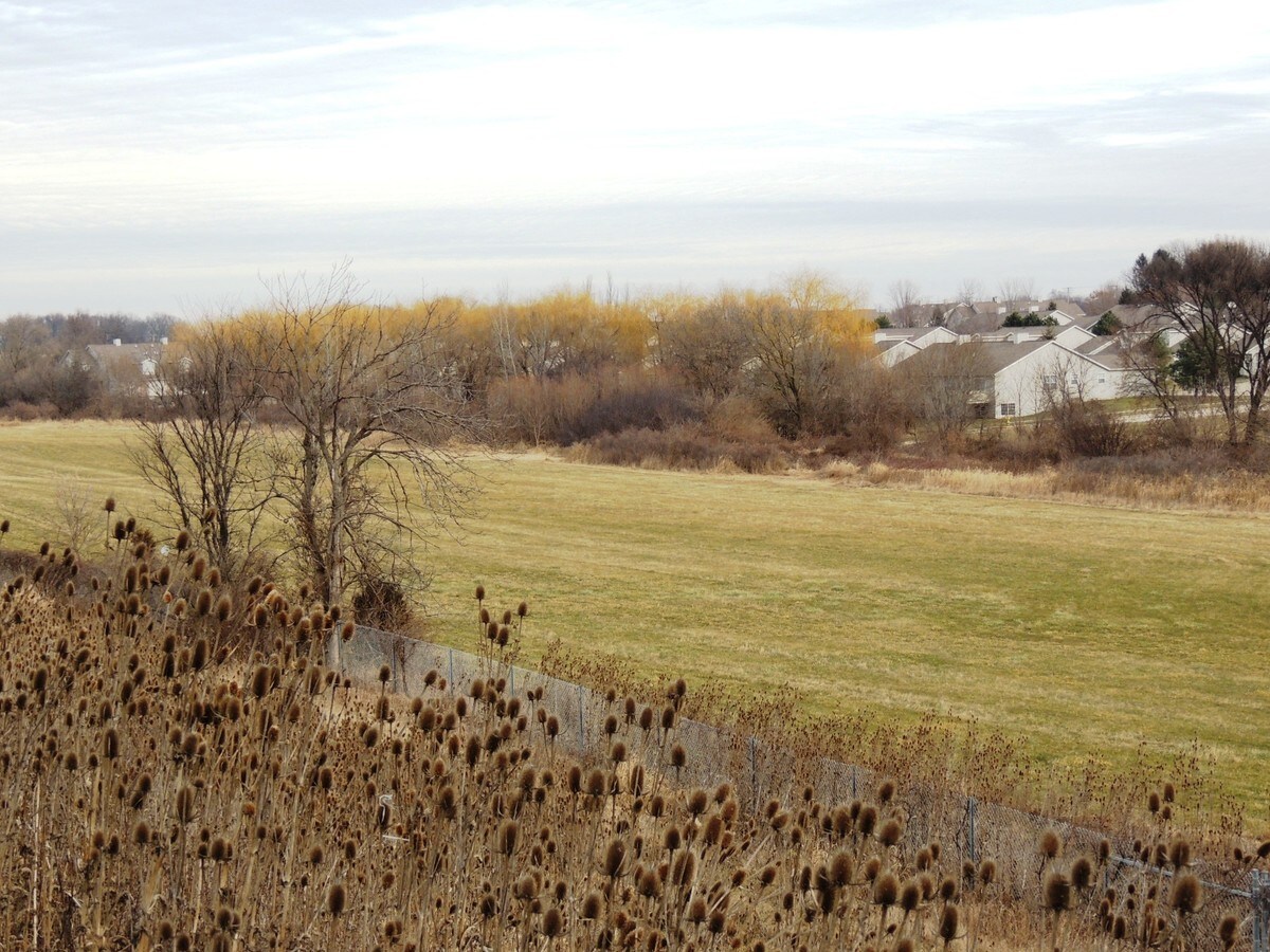 View Photo