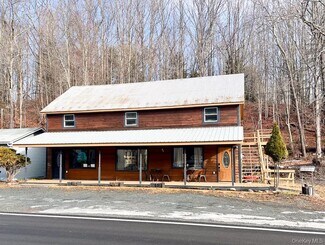 Plus de détails pour 242 Main St, Grahamsville, NY - Local commercial à vendre