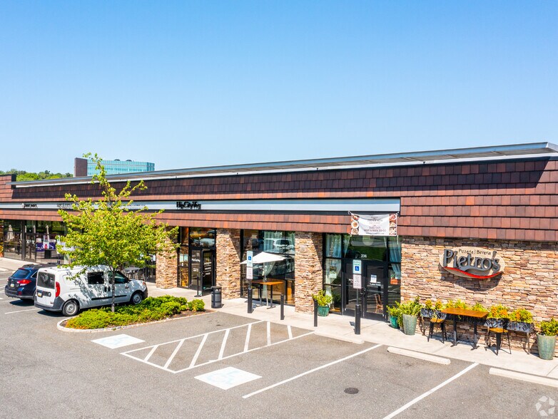 210-236 N Radnor Chester Rd, Radnor, PA à louer - Photo principale – Image 2 sur 16