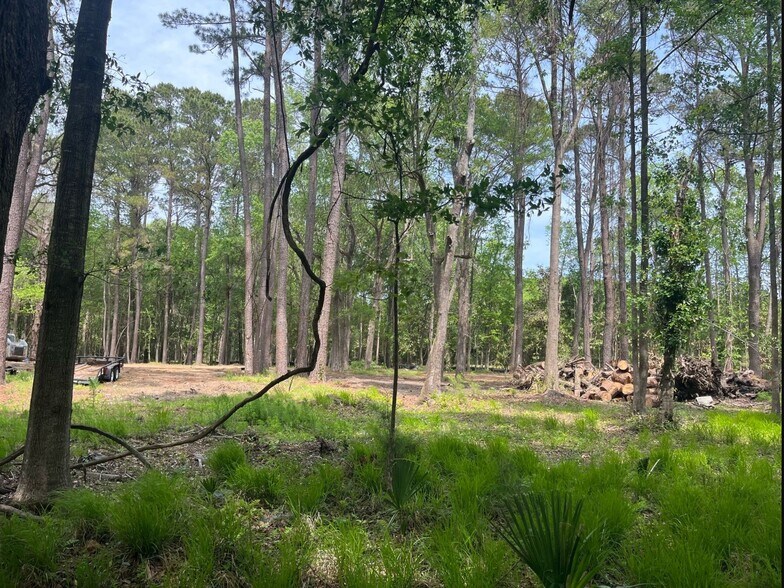 0 Sol Farm Rd, Johns Island, SC à vendre - Photo principale – Image 1 sur 2
