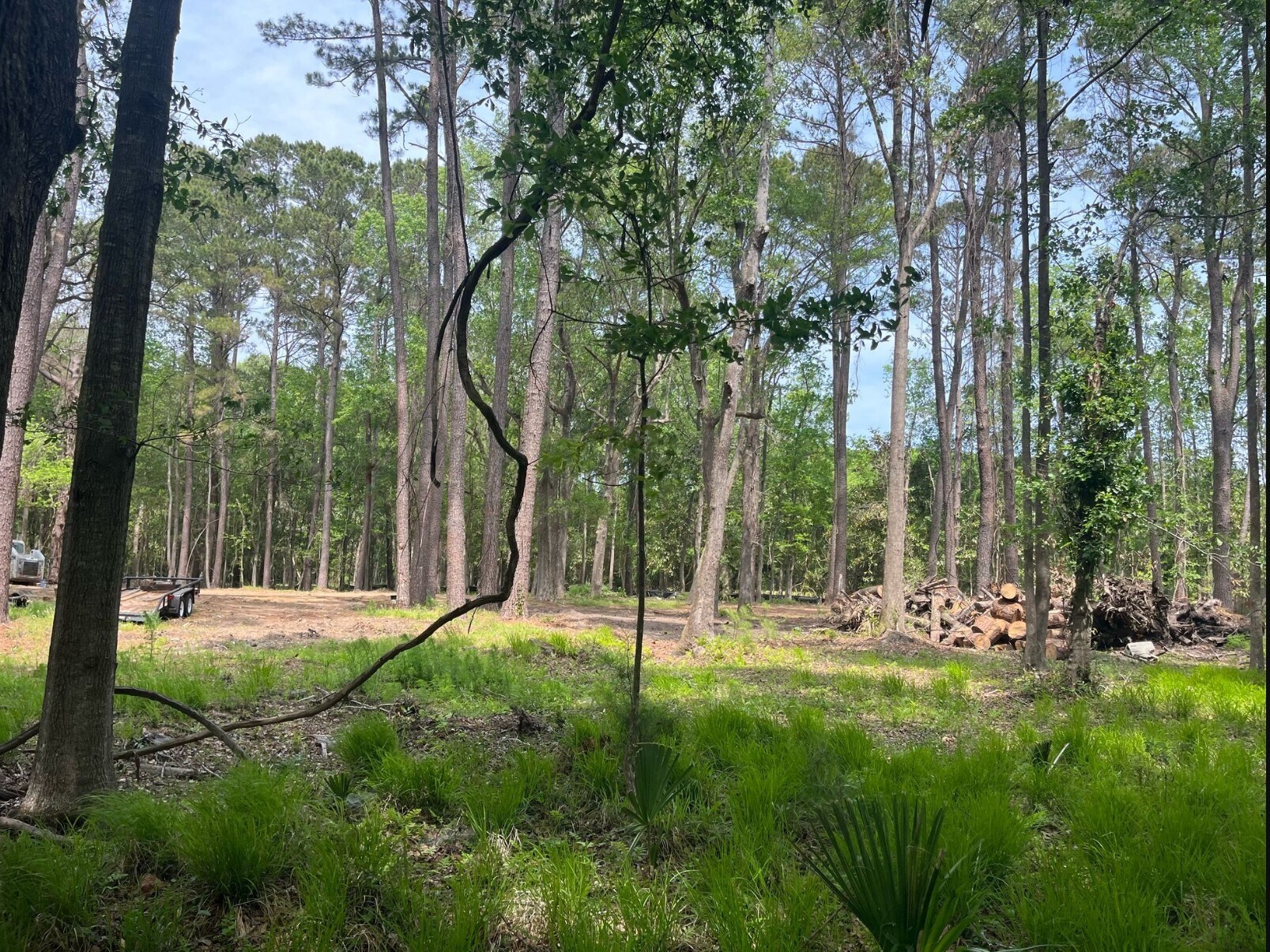 0 Sol Farm Rd, Johns Island, SC à vendre Photo principale– Image 1 sur 3