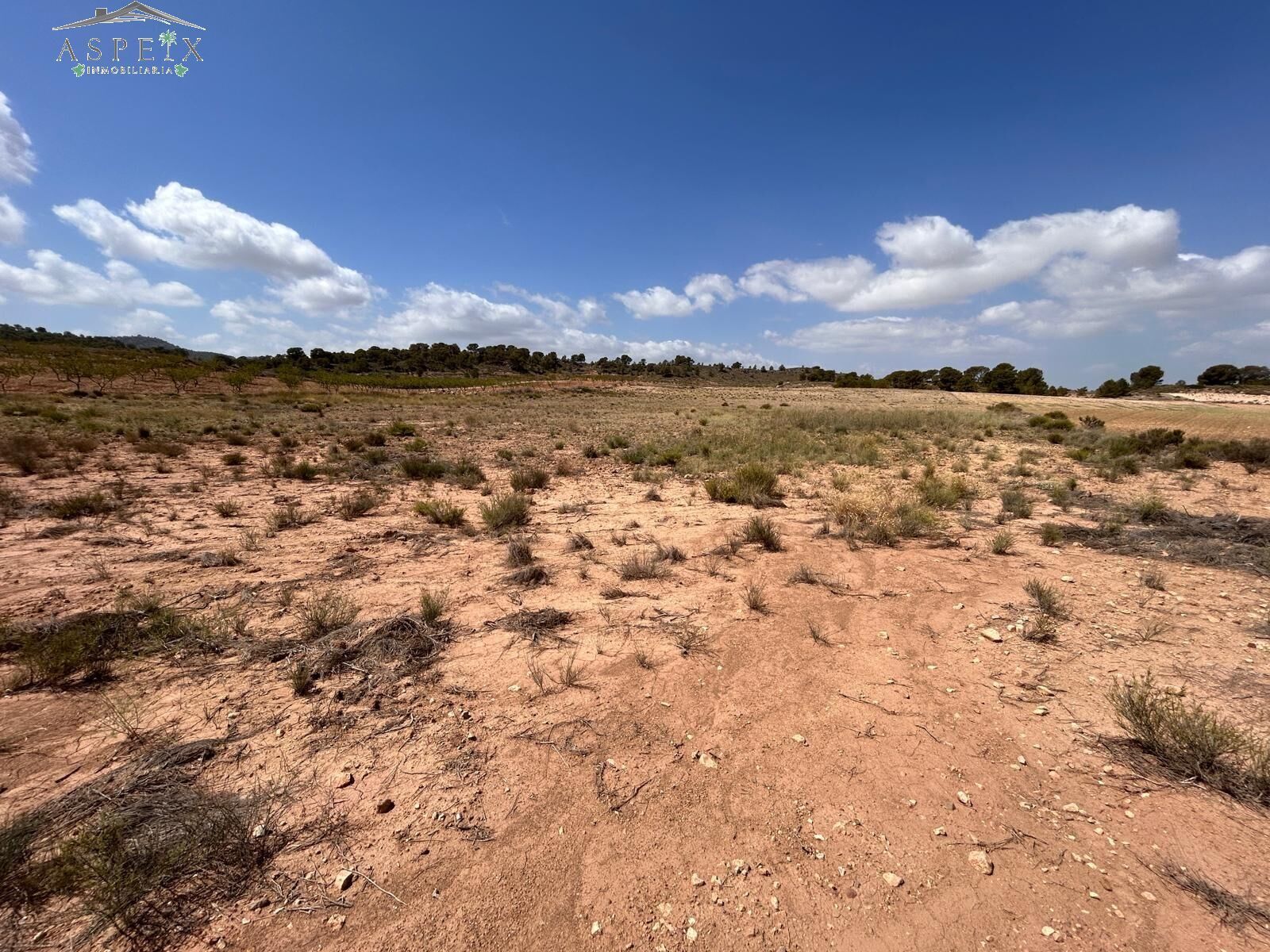 Terrain dans Jumilla, Murcia à vendre Plan de site– Image 1 sur 6