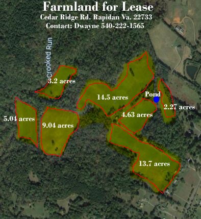 24134 Cedar Ridge Rd, Rapidan, VA à louer Aérien– Image 1 sur 2