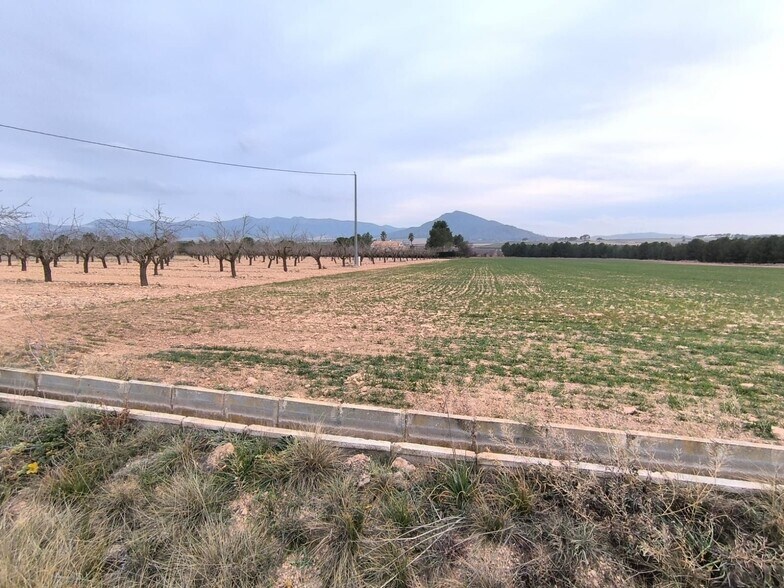 Terrain dans MURCIA à vendre - Photo principale – Image 2 sur 4