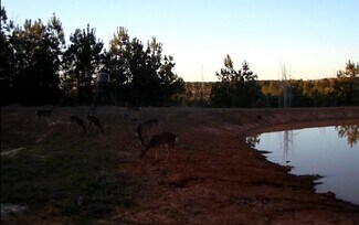 Plus de détails pour 4635 Co 1685 rd, Grapeland, TX - Terrain à vendre