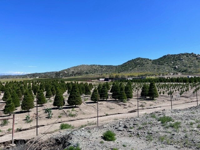 Terrain dans Nuevo, CA à vendre - Photo principale – Image 2 sur 35