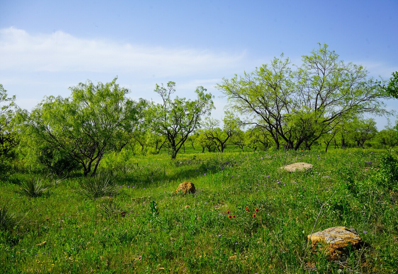 View Photo