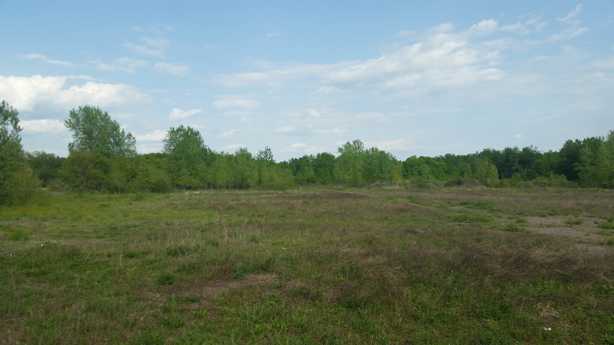 16673 Forest Blvd, Hugo, MN à vendre Photo de l’immeuble– Image 1 sur 7