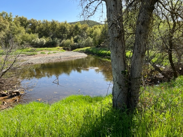 Hwy 49, Mariposa, CA à vendre - Photo de l’immeuble – Image 3 sur 63