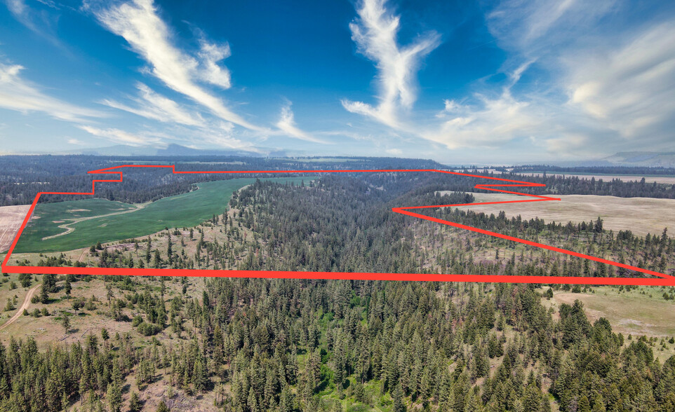 45XXX Devore Rd, Davenport, WA à vendre - Aérien – Image 3 sur 48