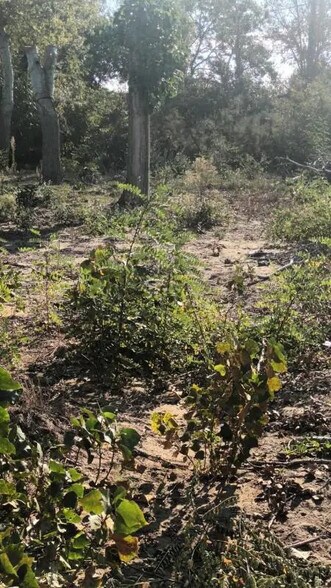 Terrain dans Agde à vendre - Photo de l’immeuble – Image 2 sur 4