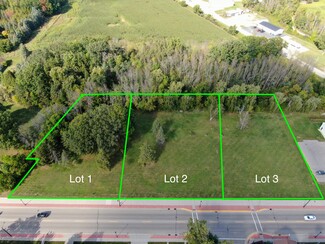 Plus de détails pour 167 E Pulaski St, Pulaski, WI - Terrain à vendre