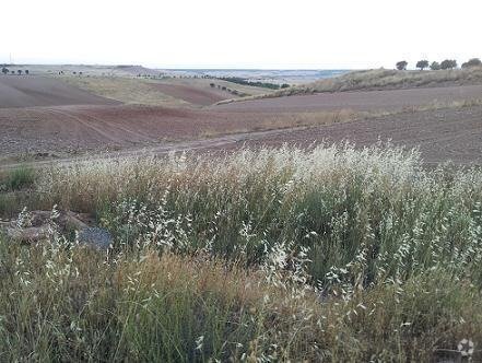 Terrain dans Tórtola de Henares, Guadalajara à vendre - Photo principale – Image 1 sur 1
