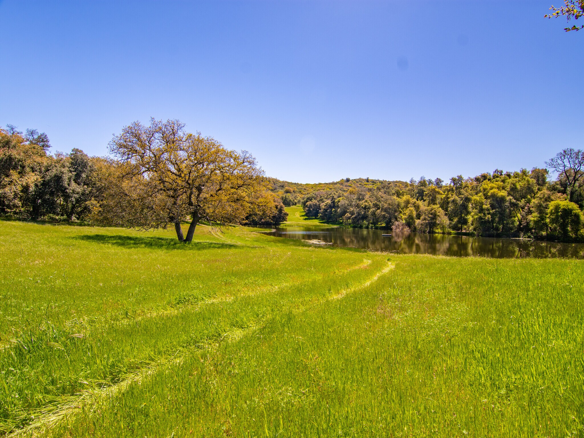 00000 Mesa Grande Road, Santa Ysabel, CA à vendre Photo de l’immeuble– Image 1 sur 43