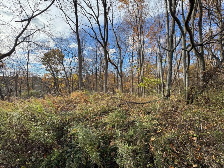 Silver Stream Rd Rd, New Windsor Township, NY à vendre - Photo de l’immeuble – Image 3 sur 10