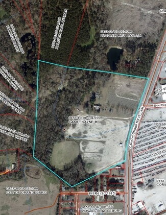 Plus de détails pour 410 Cannon Bridge Rd, Orangeburg, SC - Terrain à vendre