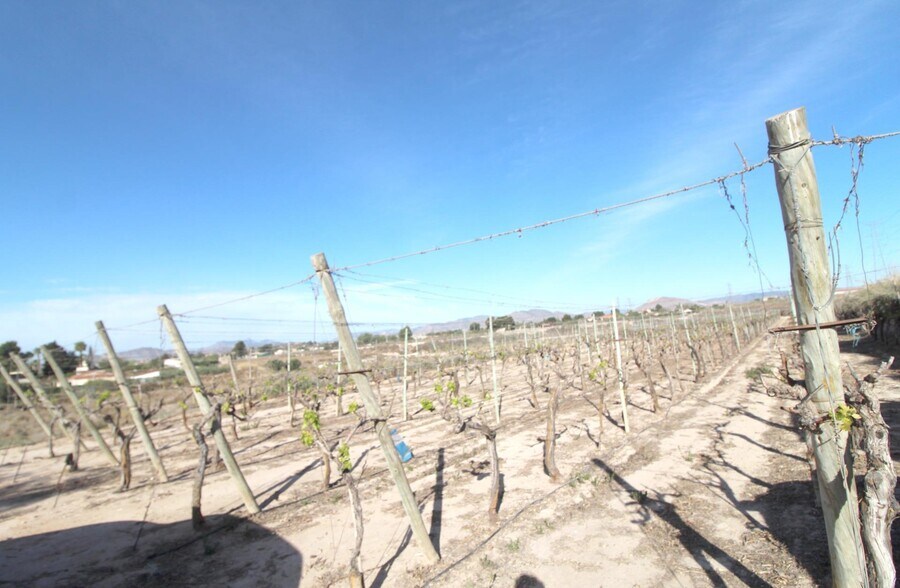 Terrain dans Monforte del Cid, Alicante à vendre - Photo de l’immeuble – Image 2 sur 2