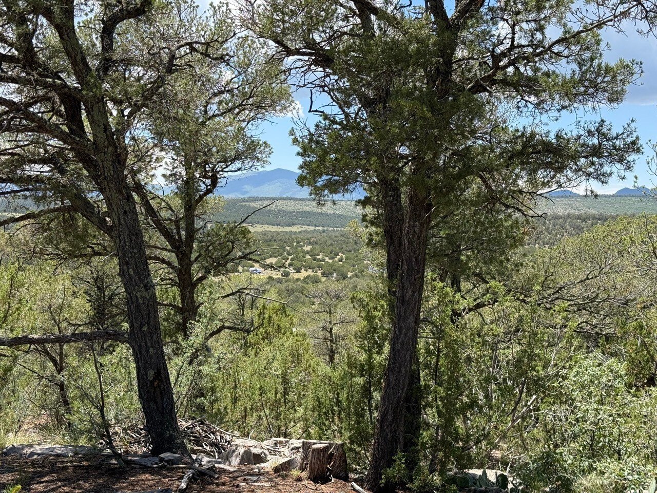 44 Forest 321 Rd, Estancia, NM à vendre Photo principale– Image 1 sur 33