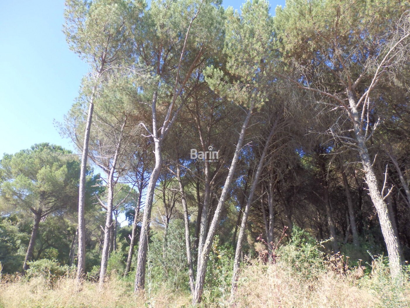 Terrain dans Córdoba à vendre Photo de l’immeuble– Image 1 sur 8