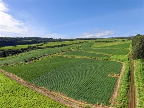 27-5159 Puia Rd, Papaikou, HI à louer - Photo de l’immeuble – Image 1 sur 33