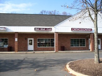 Plus de détails pour 217 Clarksville Rd, West Windsor, NJ - Local commercial à louer